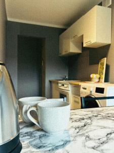 a kitchen counter with a coffee cup on a table at Mērsraga Miera Osta in Mērsrags +7 photos