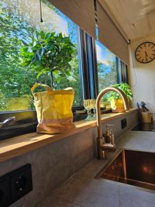 a kitchen counter with a sink and a plant in a window at Tiny House De Spjocht in Westergeest +14 photos