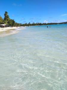 a view of a beach with people in the water at Joli Studio à 5 min de la plage in Sainte-Anne