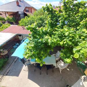 Bazén v ubytování B&B Baš Baštica nebo v jeho okolí