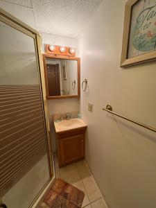 a bathroom with a sink and a shower at Green Dolphin in Old Orchard Beach