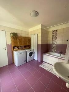 a bathroom with a washing machine and a sink at Chata za hubičku in Třemešné