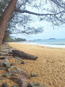a beach with a tree and rocks and the ocean at Homestay Bourgenvilla Sura tengah Dungun Terengganu in Kampong Sura Tengah
