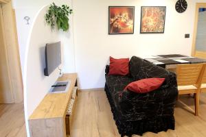 TV a/nebo společenská místnost v ubytování Casa Virginia in Val di Fiemme