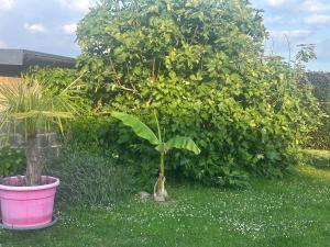 Ảnh trong thư viện ảnh của Gîte de la vieille grange ở Lobbes