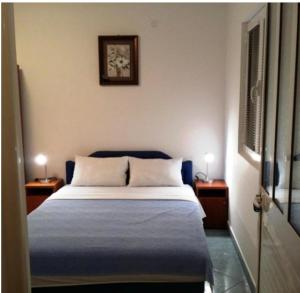 Postel nebo postele na pokoji v ubytování Apartments Dragišić