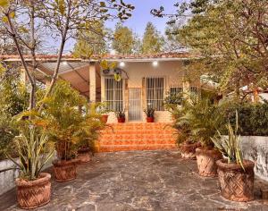 El TránsitoSunset House的房子前面有树木和植物