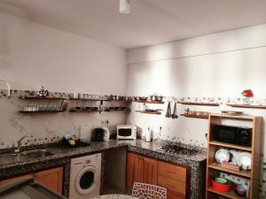 une cuisine avec un évier et une machine à laver dans l'établissement Araucaria, à Essaouira