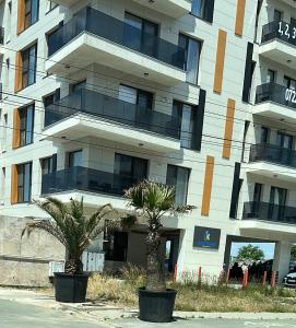 twee palmbomen voor een gebouw bij Koya Tower by Lake Mamaia in Mamaia