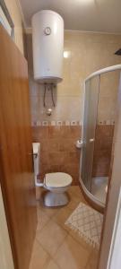 un baño con inodoro y ducha en Rose Apartments, en Ičići