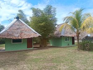 a green house with a thatched roof and a palm tree at Resort&healing Center la tanrilla in Iquitos