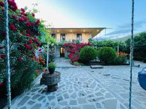 Jardí fora de Guesthouse Mtkvari