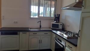 a kitchen with a sink and a microwave at La Maison LEON in Ychoux +4 photos
