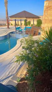 Πισίνα στο ή κοντά στο Al Eman Oasis Farm