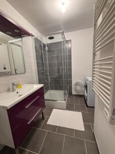 a bathroom with a sink and a shower at Charmant T3 Vue Mer & Confort en Plein Centre in Brest