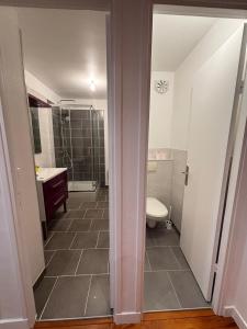 a bathroom with a toilet and a sink at Charmant T3 Vue Mer & Confort en Plein Centre in Brest +3 photos