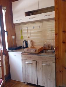 Kuchyň nebo kuchyňský kout v ubytování Studio apartman Dragana