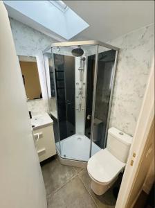 een badkamer met douche, toilet en wastafel bij Neuf lumineux et agréable en rdc avec terrasse - 33 in Dax +9 foto's