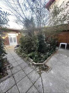 een stoep voor een huis met een plant bij Neuf lumineux et agréable en rdc avec terrasse - 33 in Dax