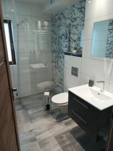 a bathroom with a toilet and a sink and a shower at Między Górami in Korbielów