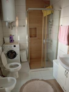 a bathroom with a shower and a toilet and a sink at Nejla apartmani in Burtaiši