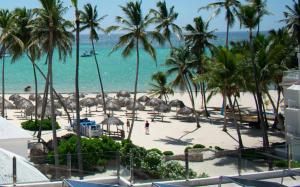 una vista di una spiaggia con palme e l'oceano di OLAS DE SOL CARIBE playa LOS CORALES a Punta Cana