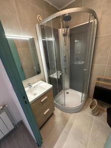 a bathroom with a shower and a sink at Appartement rénové et lumineux - 130 in Dax