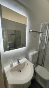 a bathroom with a sink and a toilet and a mirror at Leoben 3 rooms 3 people Top 4 in Leitendorf +38 photos