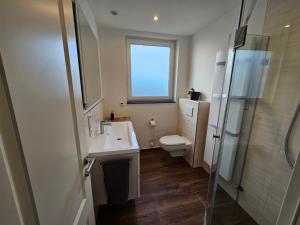 a bathroom with a sink and a toilet and a window at Ferienwohnung Freckenhorst in Warendorf +8 photos