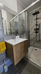 un bagno con lavandino e doccia di Les studios du Cercle a Limoges Altre 31 foto