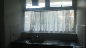 伦敦Homerton Home的窗户前方设有水槽