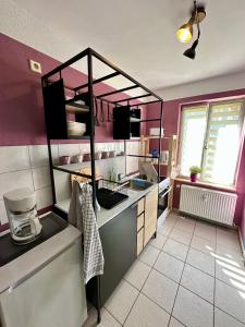 a kitchen with pink and white walls and a counter at Barrierefrei und Hunde willkommen Hohe Gäste in Naumburg