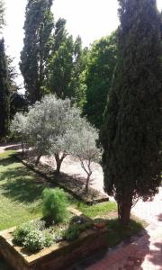 Zahrada ubytování I Pioppi Bed & Breakfast