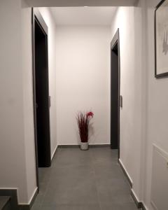 Fotografie z fotogalerie ubytování Fole Apart Hotel v destinaci Pristina