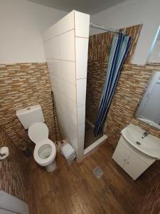 une salle de bain avec toilettes, lavabo et douche dans l'établissement La Tataia Zahei, à Drăguş 40 autres photos
