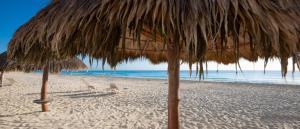 a straw umbrella and chairs on a beach at Comoda Suite Cancun - BEACH CONDO - 6PX in Cancún +44 photos