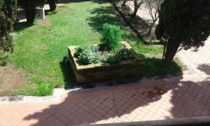 Zahrada ubytování I Pioppi Bed & Breakfast
