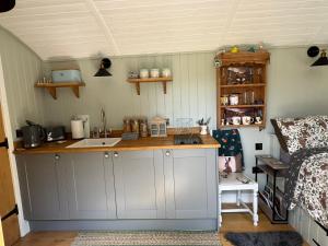 Kuhinja ili čajna kuhinja u objektu Forest View Shepherd Hut Stag hut