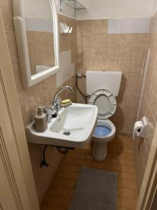 a small bathroom with a sink and a toilet at Katsi Traditional & Medieval House in Mesta