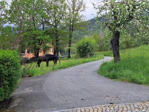 a horse grazing in the grass next to a road at Passione Peonie Apartment in Roccabruna