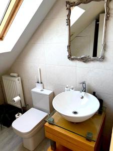 łazienka z umywalką, toaletą i lustrem w obiekcie Attic Conversion Suite w mieście Adel