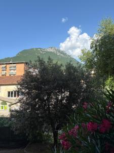 a tree in front of a building and a mountain at Casa Chiara in Mandello del Lario