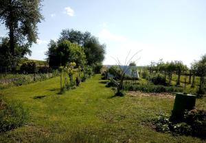 a row of trees in a field of grass at Appartement charmant et atypique, wifi, terrasse, jardin in Schleithal