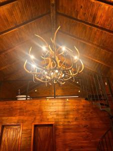 ein Kronleuchter mit Geweih, der von der Decke hängt in der Unterkunft Cabana Black Wood in Camanducaia