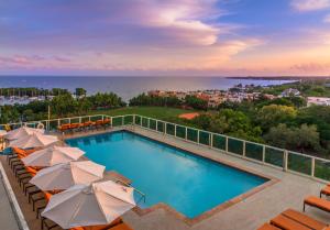 a swimming pool with umbrellas and the ocean at Private Oasis at Arya in Miami