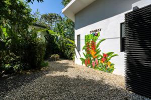 Zahrada ubytování Synergy Retreats Costa Rica, Uvita, Puntarenas