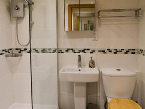 een badkamer met een toilet, een wastafel en een douche bij Rockfish Cottage in Brixham