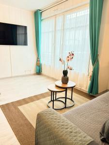Μια τηλεόραση ή/και κέντρο ψυχαγωγίας στο Appartement Magnolia 40m2, wifi gratuit et parking
