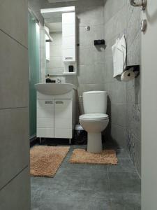 a bathroom with a white toilet and a sink at ParkSide Apartman in Arandjelovac +24 photos