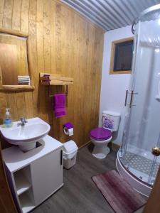 Un baño con lavabo, ducha e inodoro. en Cabaña Aquiles, en Puerto Natales
